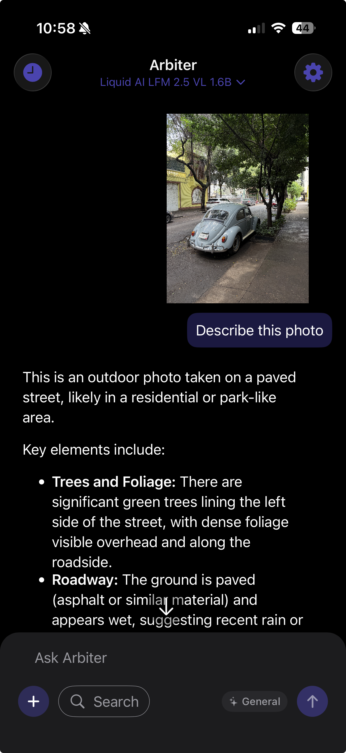Vision model describing a photo